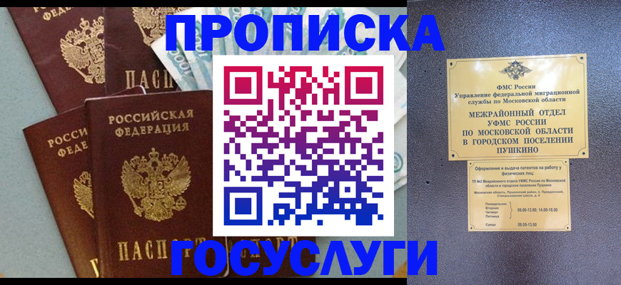 прописка гарантия в Арамили